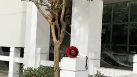 微信表情包也会跳金咋啦饼
