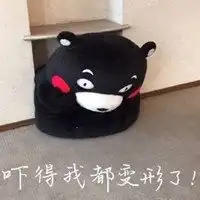 地震表情包搞笑图片微信头像图片大全
