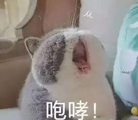 我和旁边的男同学因为连上热点牵手成功
