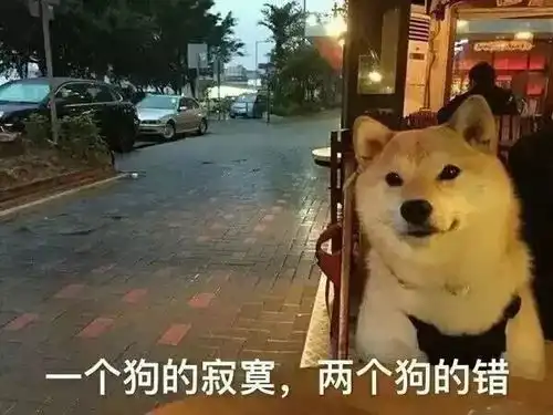 表情包一个狗的寂寞,两个狗的错
