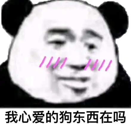 婚后生活
