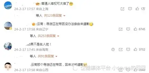 傅园慧长白山包车遭勒索,事件发酵后官方回应,央视评论令人深思
