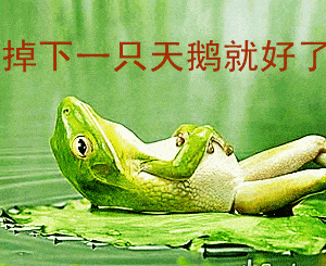 表情女子无才便是德对吗知乎表情
