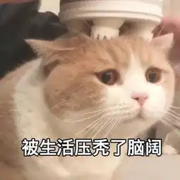 秃头脱发表情包米奇表面上不声不响,其实,学习学到秃头
