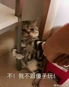 momo小姐的微博微博
