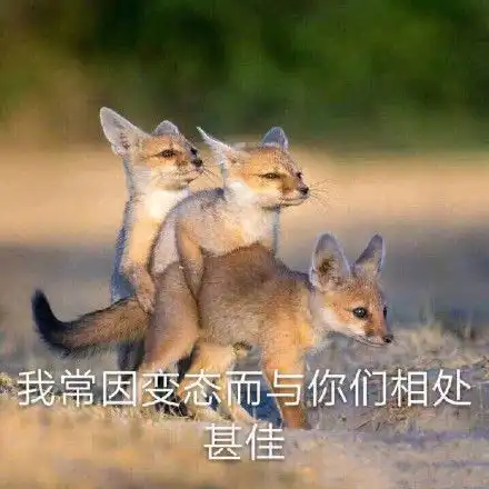 纯爱推文要把大象装冰箱拢共分几步安利一个前期沙雕后期走心的小短篇
