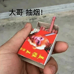 近期沙雕聊天热门表情
