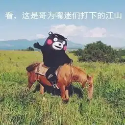 终于等到你合肥这家五星自助,99元海鲜大餐畅吃不限

