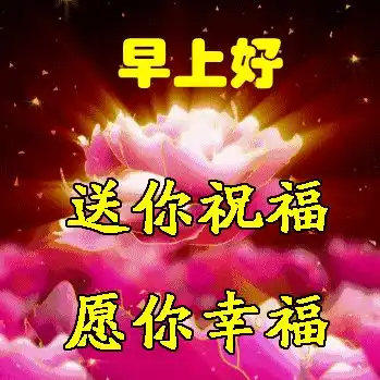 唯美阳光的早安问候祝福表情包图片,正能量早上好问候祝福语图片大全