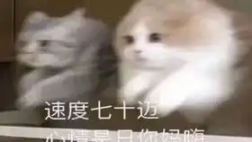 派对动物demo
