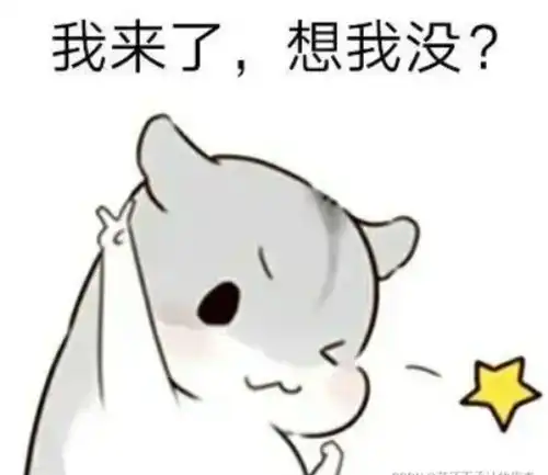 智慧树表情包仓鼠