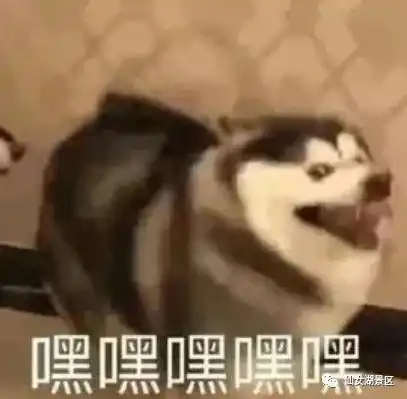 来啦老弟仙女湖璀璨灯光艺术节明天盛大开幕
