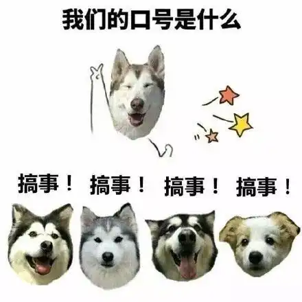 心机汪狗狗表情包
