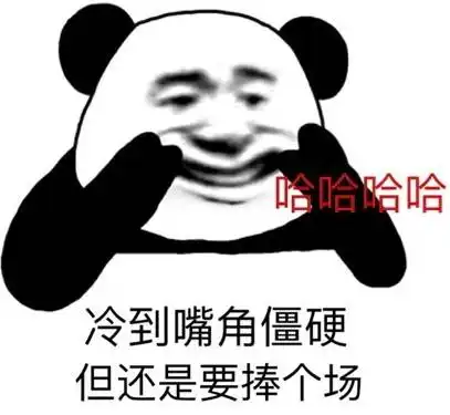 沙雕熊猫头表情包