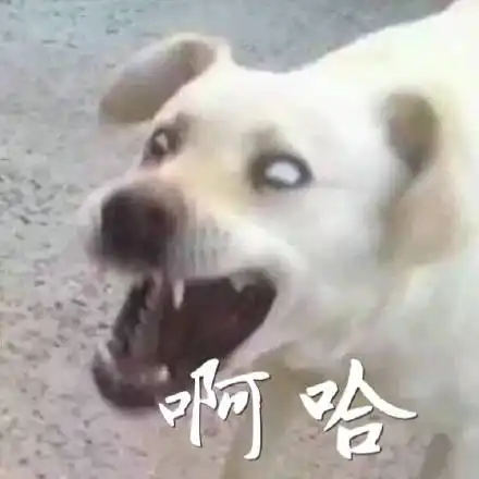 原来表情包里的熊猫头,它的耳朵隐藏着大秘密哟
