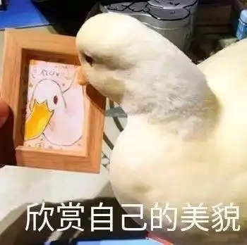 有没有适合在发自拍的时候发的表情包
