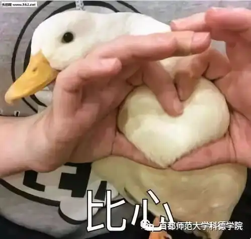 预热再次见到你很开心
