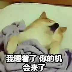 柴犬丨汪界表情包的鼻祖
