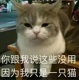 搞笑表情包微信天来
