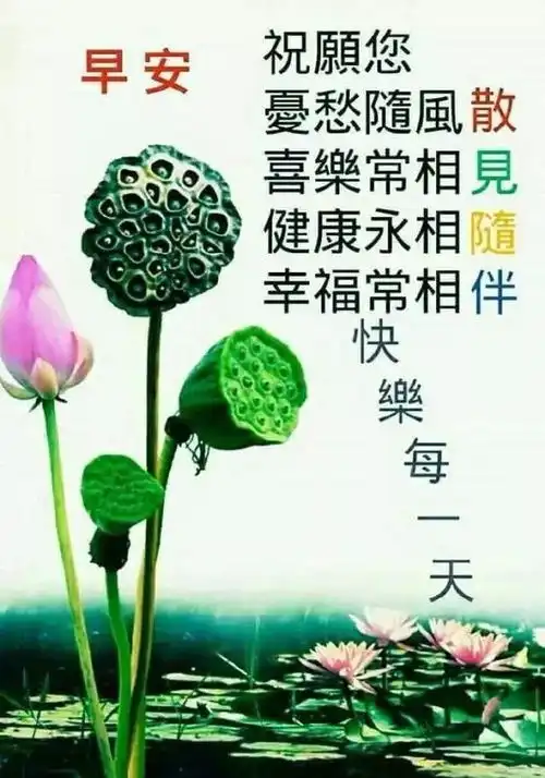 最棒的早上好动态表情包图片最棒的早安短信祝福语
