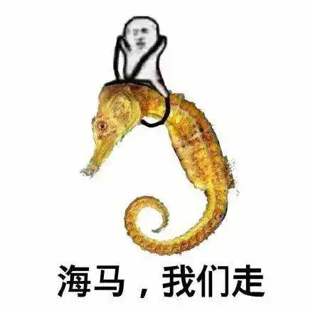皮皮虾我们走是什么梗皮皮虾我们走表情包系列原图
