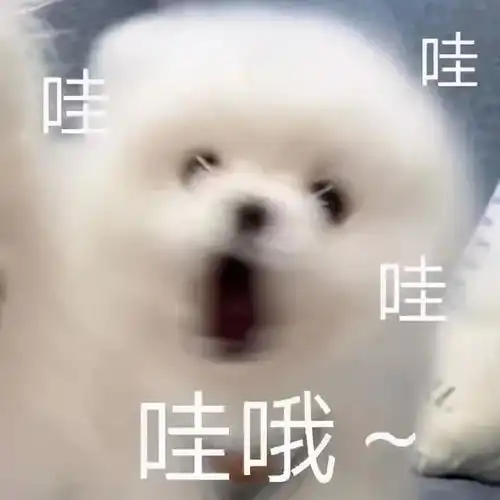 朋友圈支持新疆棉花有多拼这场面真没想到
