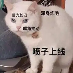 和前任刚复合,但是他不愿意换情侣头像是为什么
