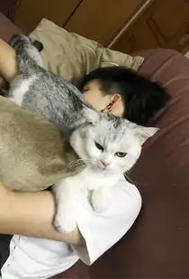 猫和狗有没有表情有的话可以以照片的形式展示一下吗
