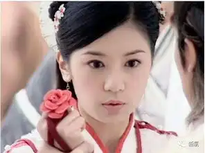 什么样的脸才配得上灿若玫瑰的赵敏颜
