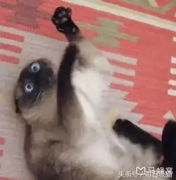 福州长乐机场怎么去东庠岛
