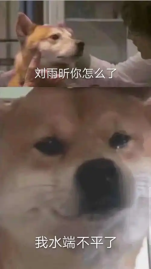 水来个表情包助兴
