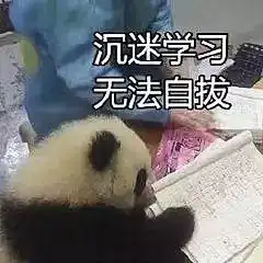 有这种熊猫的表情包吗
