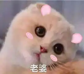 谁有这个情侣头像麻烦给个
