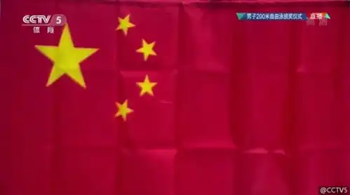 孙杨昨晚夺冠后的这个举动刷屏了所有国人都应该看看
