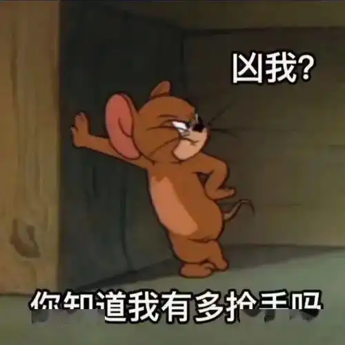 每日精选沙雕表情包
