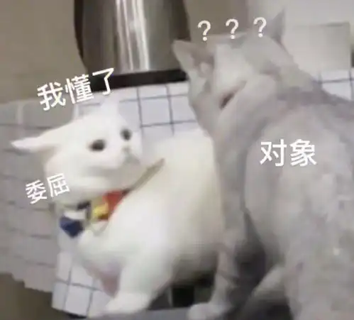 情侣猫猫吵架表情包
