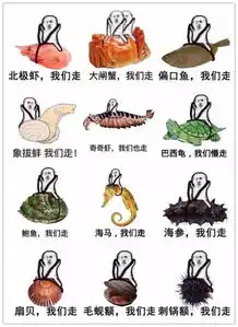皮皮虾我们走海鲜家族成2017第一网红
