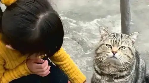 猫的表情竟然没有变化,看样子是不喜欢小主人
