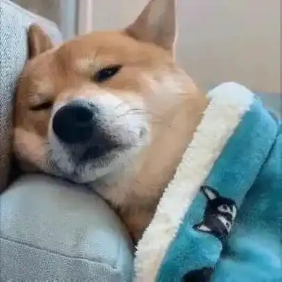 表情包美好始如初,雨水生百谷

