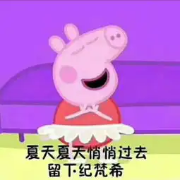 一只飞不起来的鸽子的美拍
