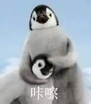 如何以我发现了霸总的秘密为开头写一个故事
