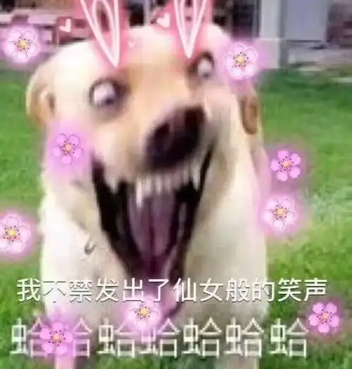 被强行爆红的relift到底是什么
