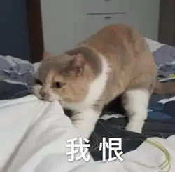 无法触碰的掌心太会了吧,碰不到摸不着,但谁玩了不说个爽字
