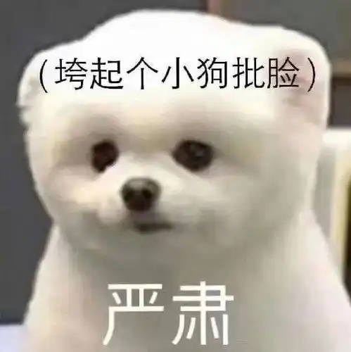 温州白富美抄袭大翻车4年零差评人设崩塌被全网嘲
