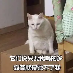 看完这组猫咪表情包后,我哇的一声哭了出来...宠物频道
