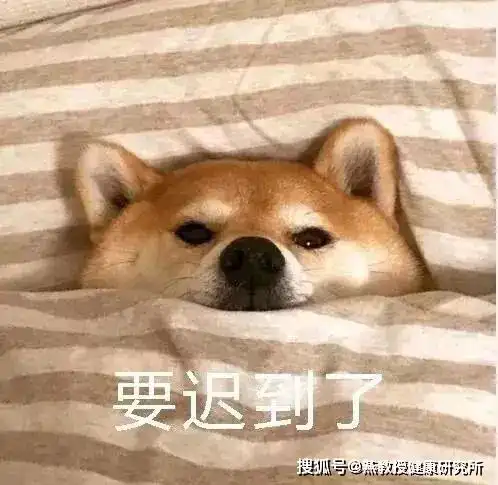 狗子表情包出处略略略