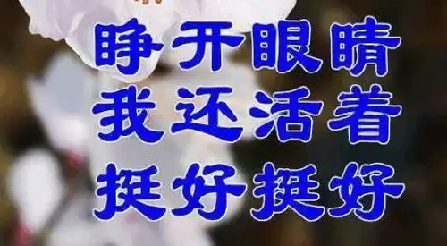 听说这是佛系90后必听歌单
