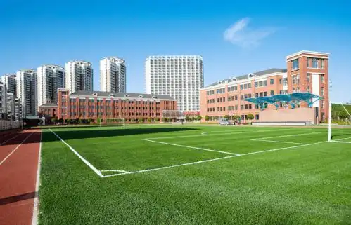 一线城市教育实力这个万科城把九年义务教育全包了
