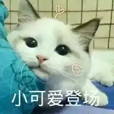 一分钟说药组队合集,争当说药小能手
