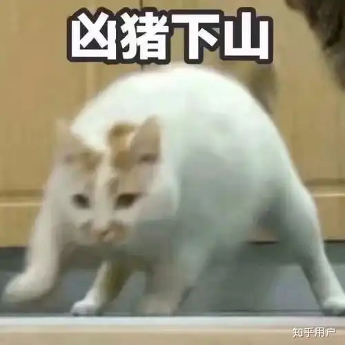 我的收藏夹
